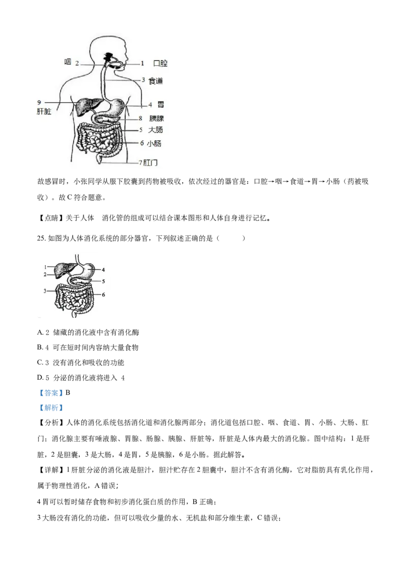 精品解析：北京市顺义区2019-2020学年七年级上学期期末生物试题（解析版）(1)_北京初中期末题_C605-京七八九_B京生物七八九_北京7上生物_2019-2020