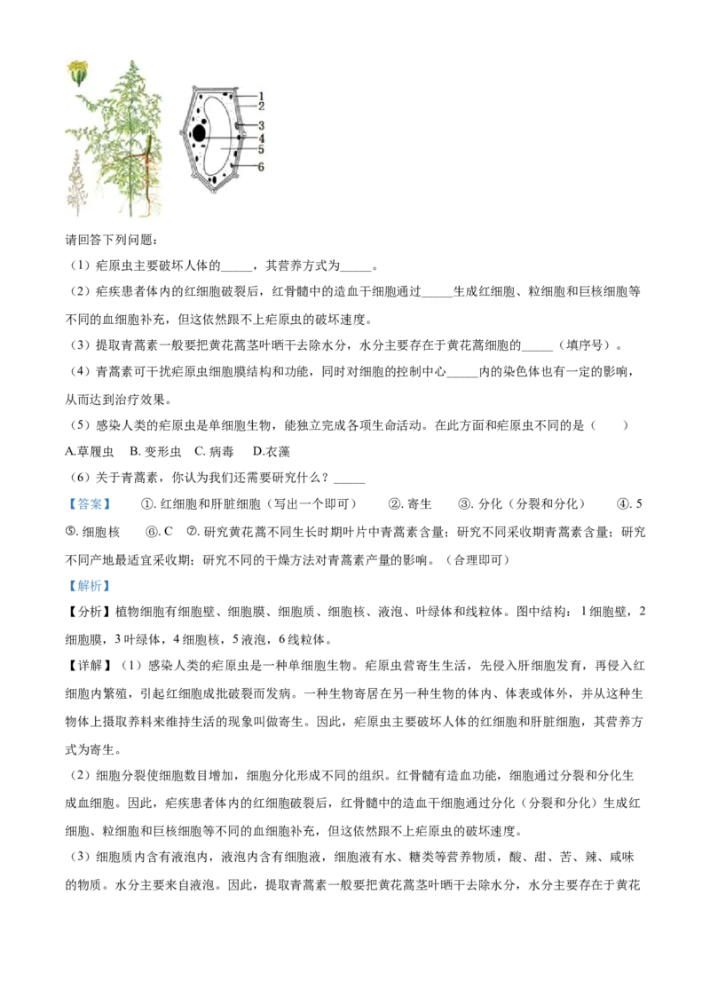 精品解析：北京市顺义区2019-2020学年七年级上学期期末生物试题（解析版）(1)_北京初中期末题_C605-京七八九_B京生物七八九_北京7上生物_2019-2020