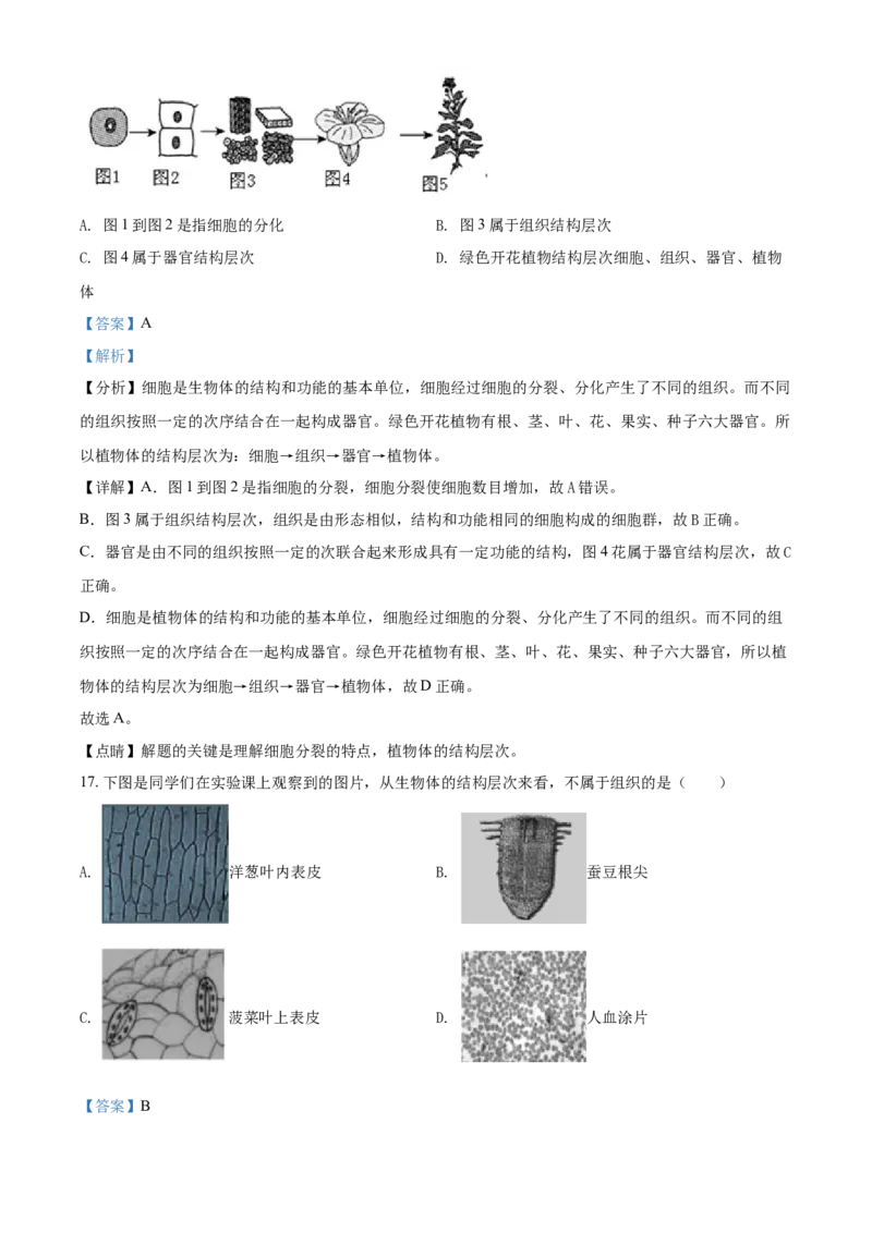 精品解析：北京市顺义区2019-2020学年七年级上学期期末生物试题（解析版）(1)_北京初中期末题_C605-京七八九_B京生物七八九_北京7上生物_2019-2020