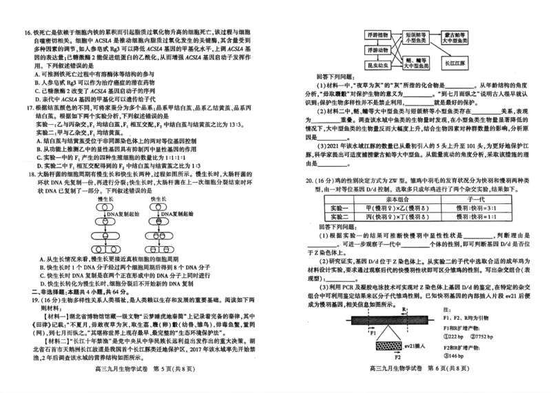 武汉市部分学校高三年级9月调研考试生物试题_A1502026各地模拟卷（超值！）_9月_240905湖北省2024-2025学年度武汉市部分学校高三年级九月调研考试