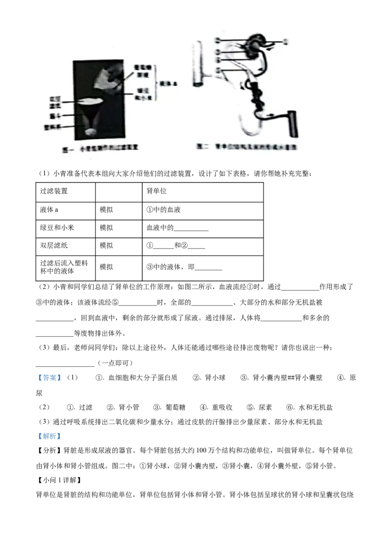 2023年山西省晋中市中考生物真题（解析卷）_❤山西历年中考真题_8.山西中考生物2018-2025