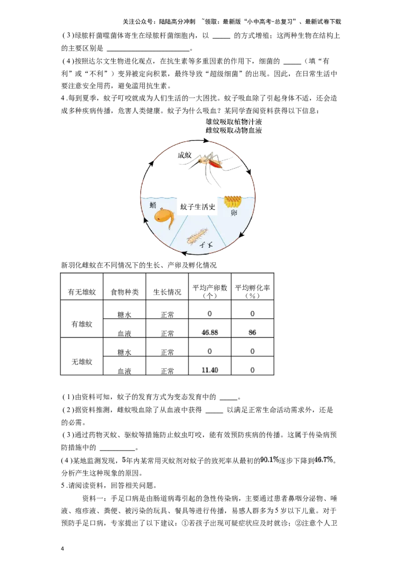 专题24生物的进化（原卷版）_02中考总复习（2026版更新中）_08-生物-中考总复习_2024年中考复习资料_一轮复习_配套练习