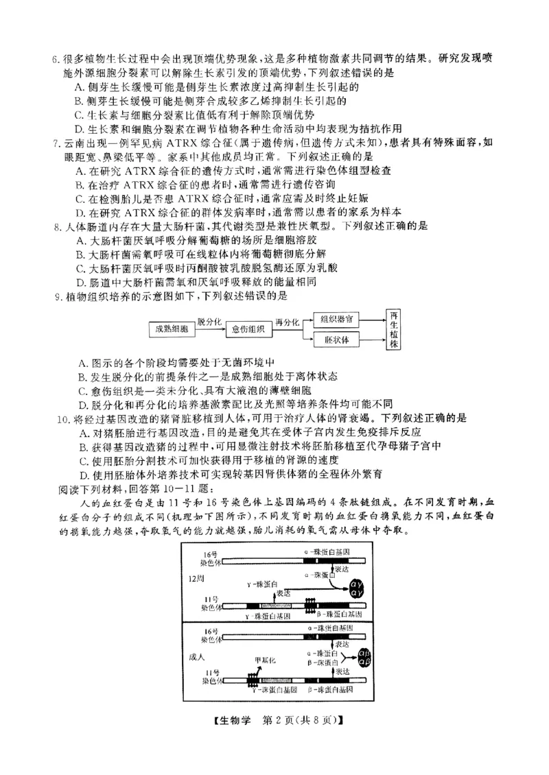 浙江省强基联盟2024-2025学年高三上学期10月联考生物试题_A1502026各地模拟卷（超值！）_10月_241014浙江省强基联盟2024-2025学年高三上学期10月联考