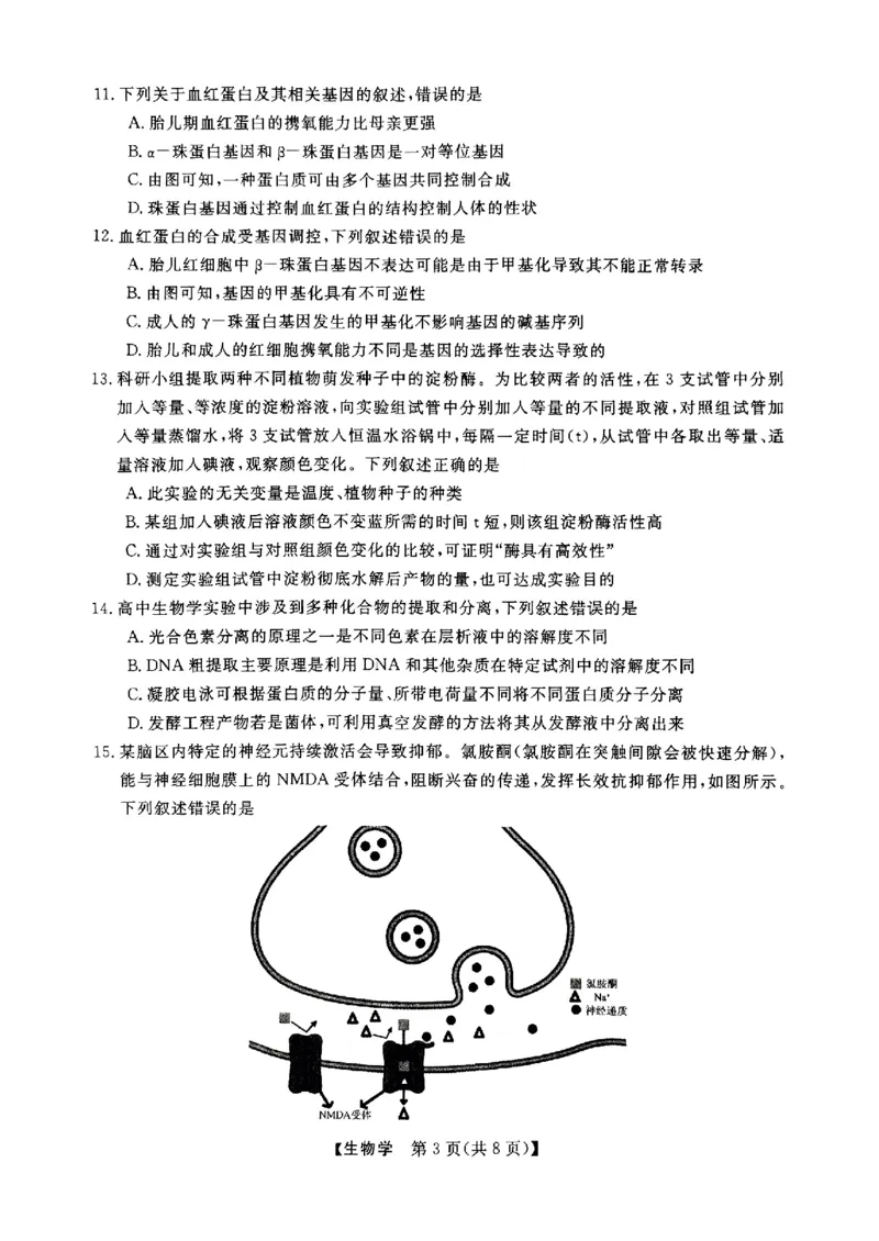 浙江省强基联盟2024-2025学年高三上学期10月联考生物试题_A1502026各地模拟卷（超值！）_10月_241014浙江省强基联盟2024-2025学年高三上学期10月联考