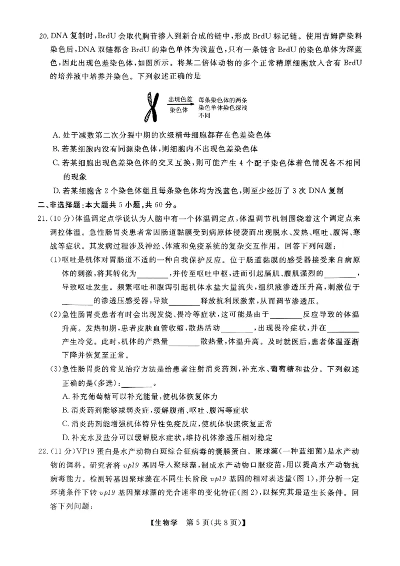 浙江省强基联盟2024-2025学年高三上学期10月联考生物试题_A1502026各地模拟卷（超值！）_10月_241014浙江省强基联盟2024-2025学年高三上学期10月联考