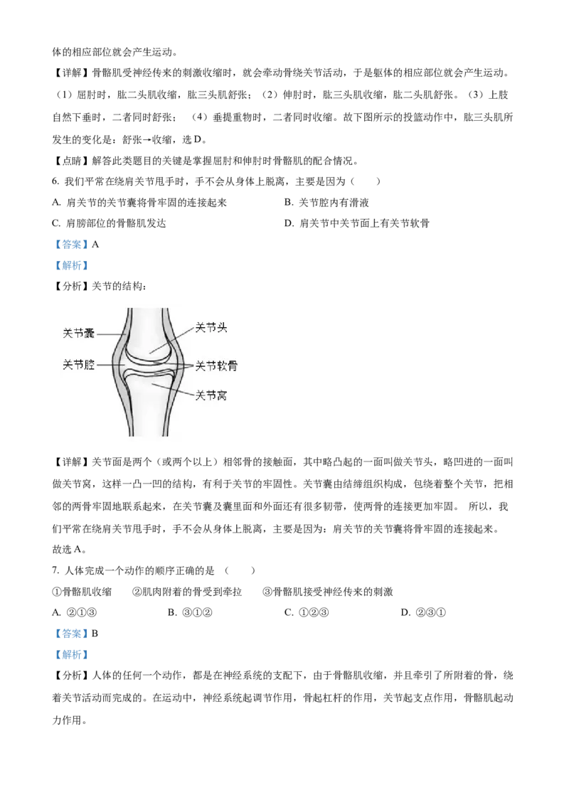 精品解析：北京市顺义区仁和中学2022年八年级上学期期中生物试题（解析版）(1)_北京初中期末题_C605-京七八九_B京生物七八九_北京八上生物_2022-2023