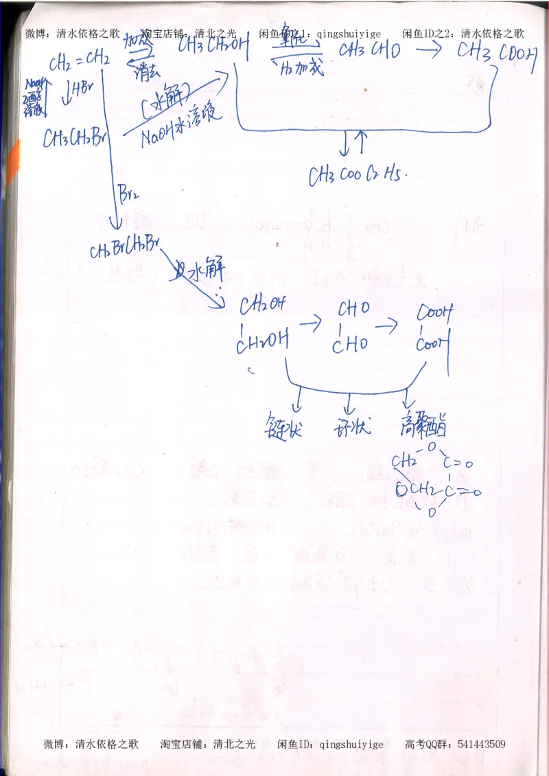 2.衡水中学高考积累与改错_高一化学（第2本）_101页_高中衡水学霸笔记_高中全部赠品_错题集高中九科_化学积累与改错