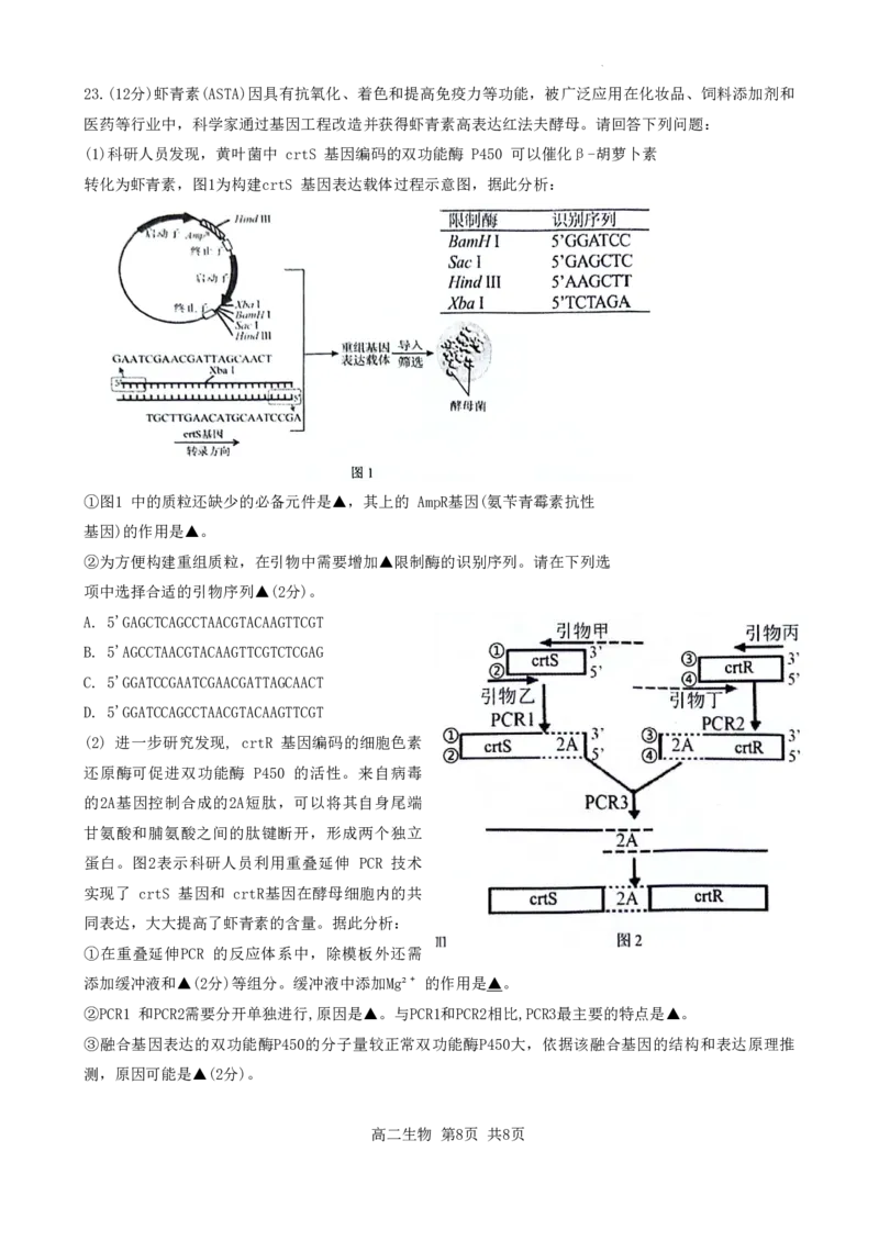 生物试卷_A1502026各地模拟卷（超值！）_6月_240630江苏省苏州市2023-2024学年高二下学期6月期末_江苏省苏州市2023-2024学年高二年级下学期学业质量阳光指标调研卷暨6月期末考试生物