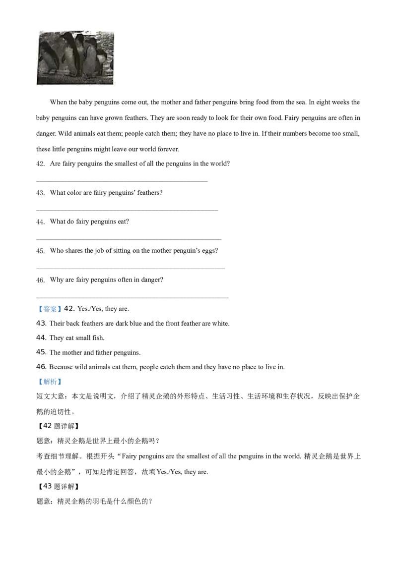 精品解析：北京市朝阳区2019-2020学年度七年级上学期期末英语试题（解析版）(1)_北京初中期末题_C605-京七八九_B京英语七八九_北京7上英语_2019-2020