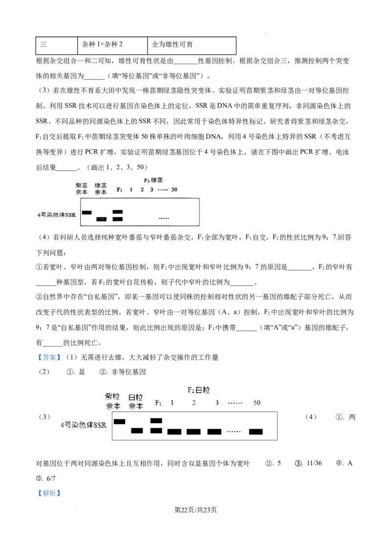 辽宁省大连市滨城高中联盟2024-2025学年高三上学期期中考试生物答案_A1502026各地模拟卷（超值！）_10月_241023辽宁省大连市滨城高中联盟2024-2025学年高三上学期期中考试