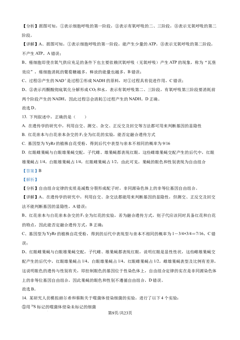 辽宁省大连市滨城高中联盟2024-2025学年高三上学期期中考试生物答案_A1502026各地模拟卷（超值！）_10月_241023辽宁省大连市滨城高中联盟2024-2025学年高三上学期期中考试