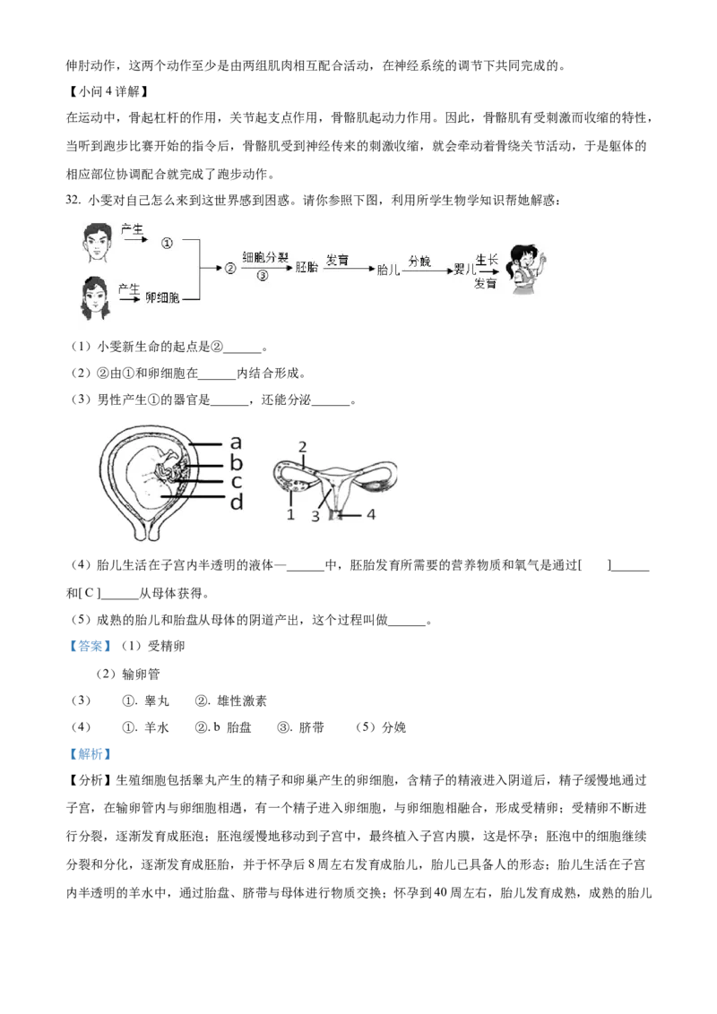精品解析：北京市门头沟区斋堂中学2021-2022学年八年级上学期期中生物试题（解析版）(1)_北京初中期末题_C605-京七八九_B京生物七八九_北京八上生物_2022-2023前