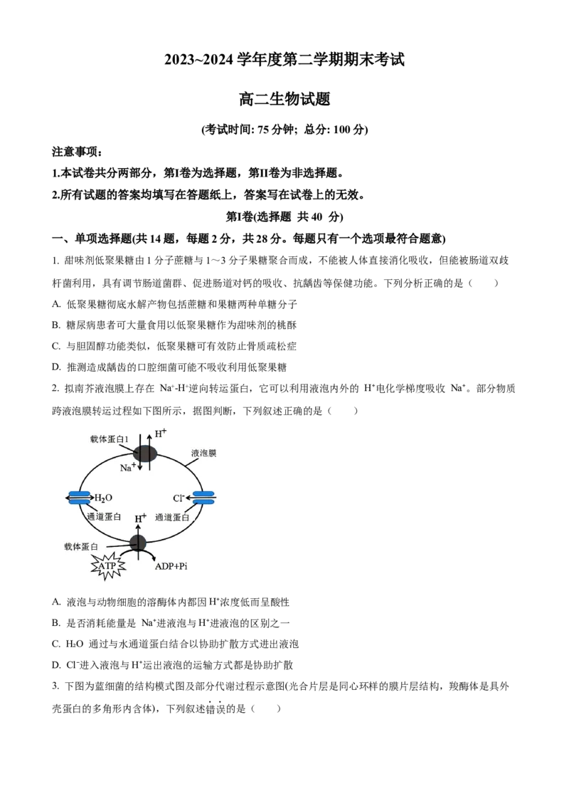 江苏省泰州市2023-2024学年高二下学期6月期末考试生物试题（含答案）_A1502026各地模拟卷（超值！）_6月_2406292024江苏省泰州市高二下学期6月期末考试