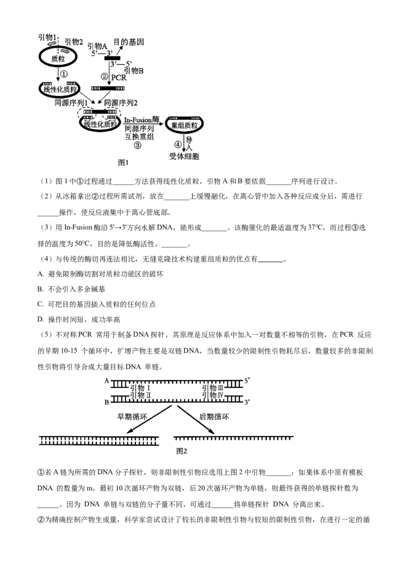 江苏省泰州市2023-2024学年高二下学期6月期末考试生物试题（含答案）_A1502026各地模拟卷（超值！）_6月_2406292024江苏省泰州市高二下学期6月期末考试