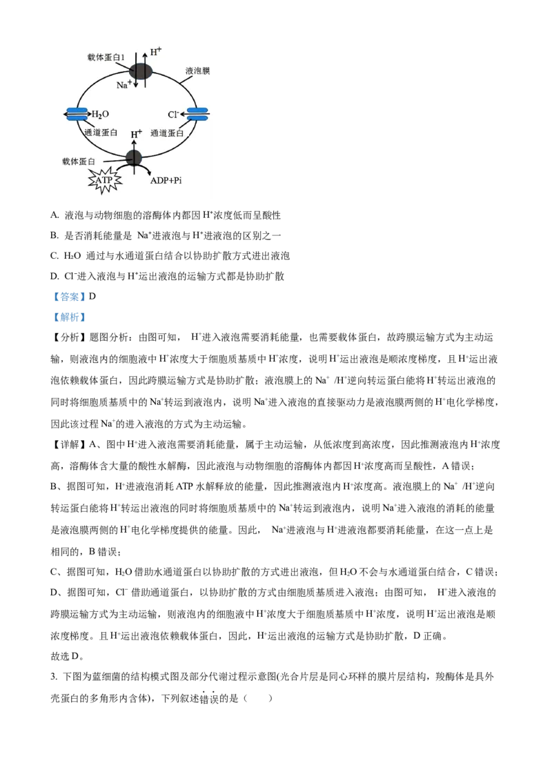 江苏省泰州市2023-2024学年高二下学期6月期末考试生物试题（含答案）_A1502026各地模拟卷（超值！）_6月_2406292024江苏省泰州市高二下学期6月期末考试