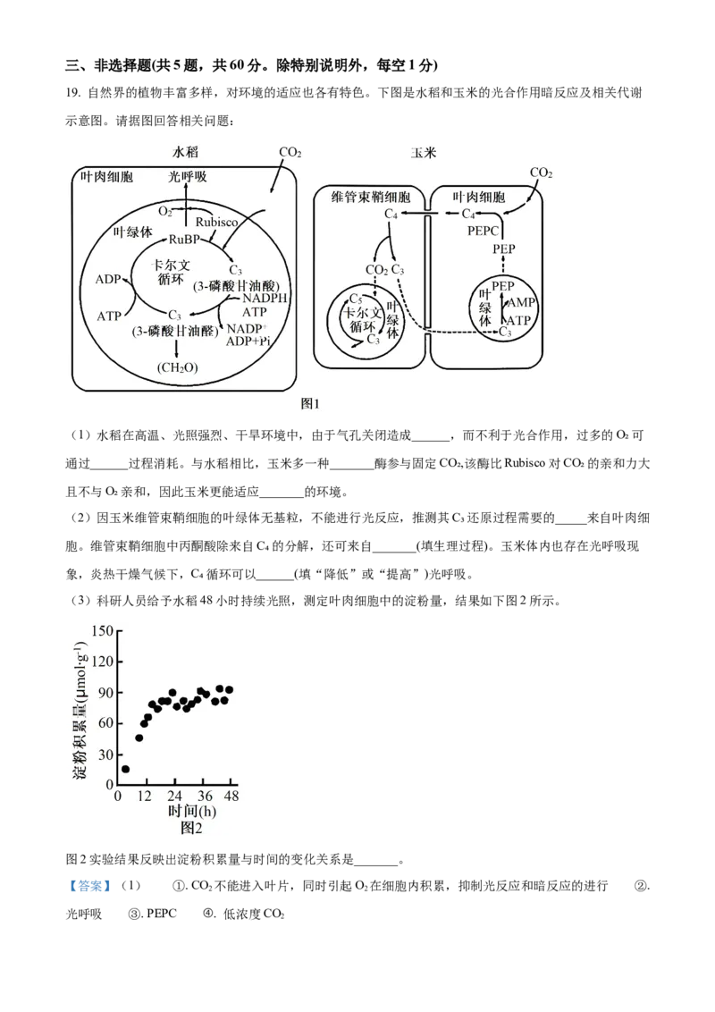 江苏省泰州市2023-2024学年高二下学期6月期末考试生物试题（含答案）_A1502026各地模拟卷（超值！）_6月_2406292024江苏省泰州市高二下学期6月期末考试