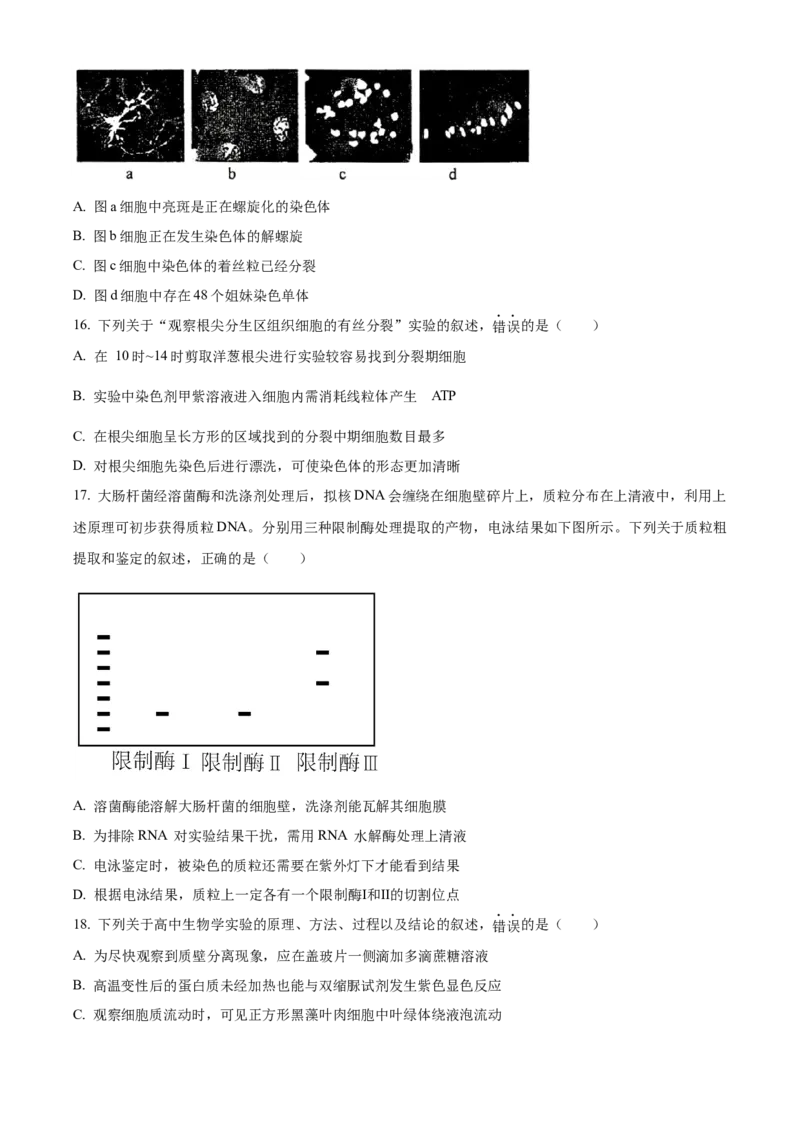 江苏省泰州市2023-2024学年高二下学期6月期末考试生物试题（含答案）_A1502026各地模拟卷（超值！）_6月_2406292024江苏省泰州市高二下学期6月期末考试