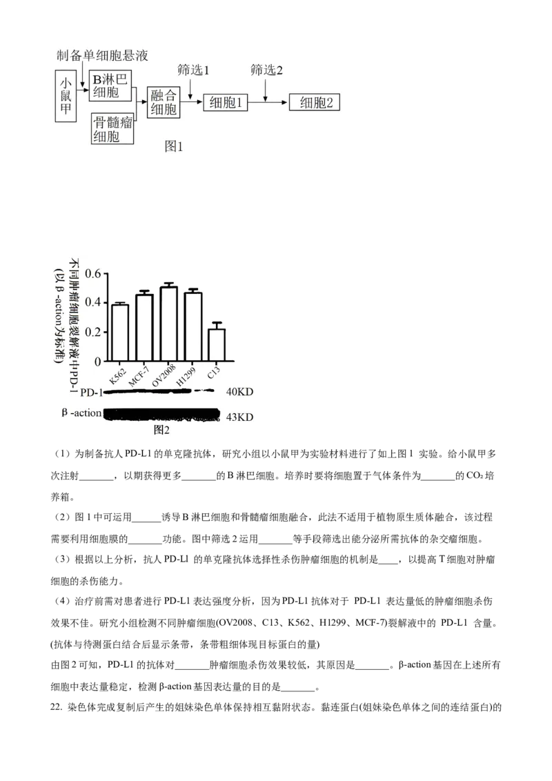 江苏省泰州市2023-2024学年高二下学期6月期末考试生物试题（含答案）_A1502026各地模拟卷（超值！）_6月_2406292024江苏省泰州市高二下学期6月期末考试