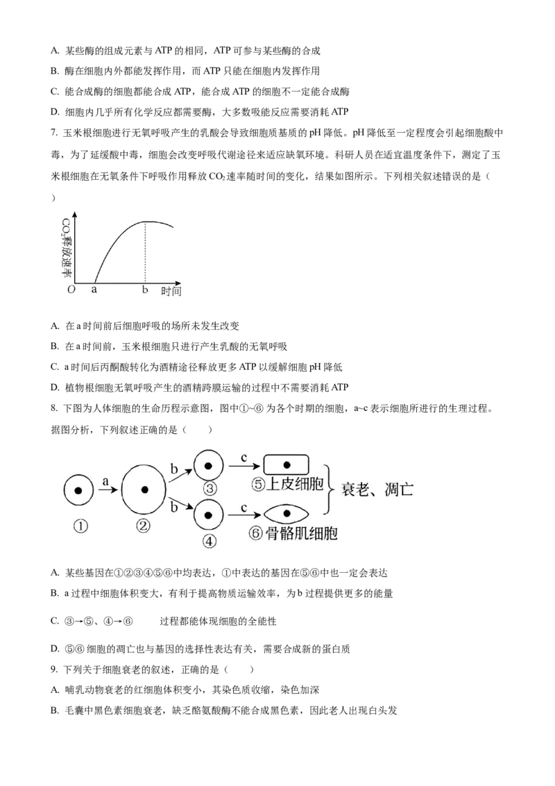 辽宁省鞍山市第一中学2024-2025学年高三上学期10月二模试题生物Word版含答案_A1502026各地模拟卷（超值！）_10月_241018辽宁省鞍山市第一中学2024-2025学年高三上学期10月二模