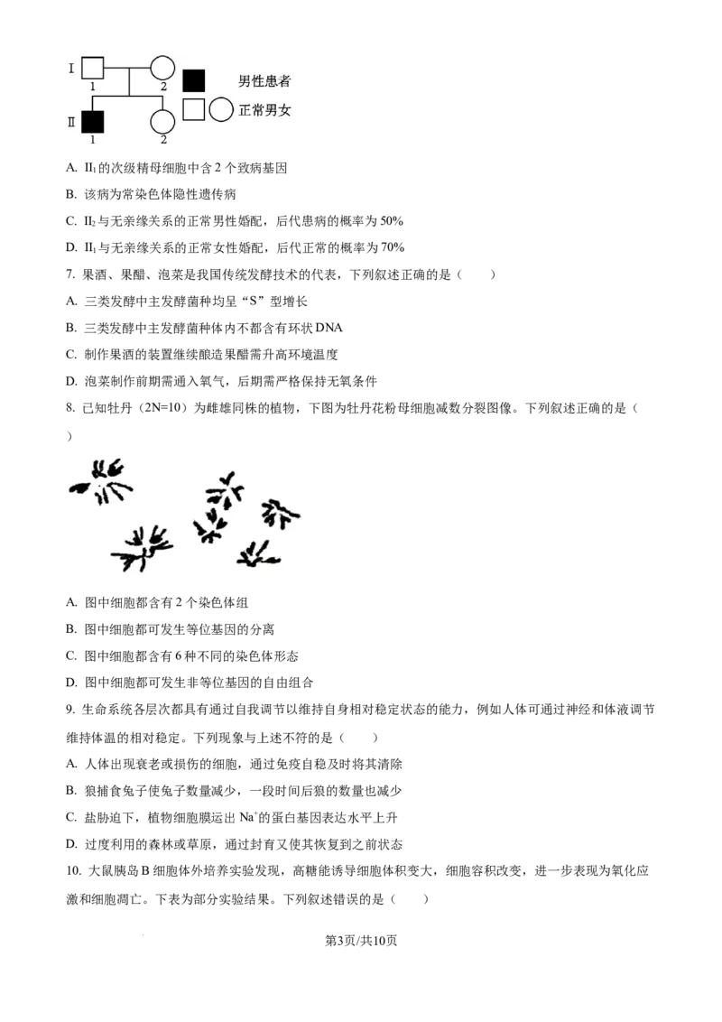 精品解析：湖北省武汉市东西湖区华中师范大学第一附属中学2024-2025学年高三上学期11月期中生物试题（原卷版）_A1502026各地模拟卷（超值！）_11月