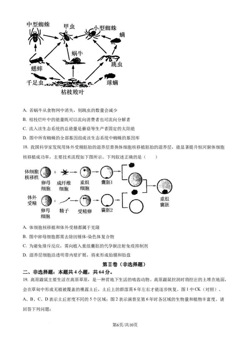 精品解析：湖北省武汉市东西湖区华中师范大学第一附属中学2024-2025学年高三上学期11月期中生物试题（原卷版）_A1502026各地模拟卷（超值！）_11月