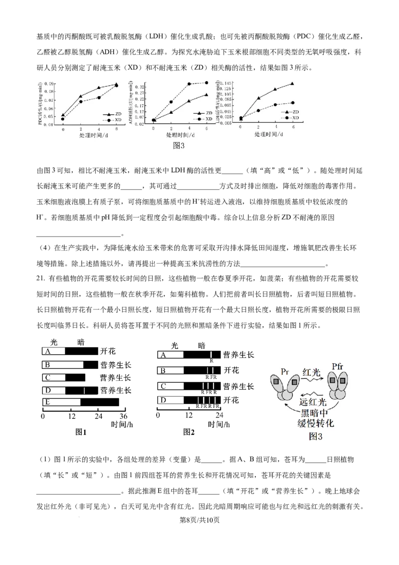 精品解析：湖北省武汉市东西湖区华中师范大学第一附属中学2024-2025学年高三上学期11月期中生物试题（原卷版）_A1502026各地模拟卷（超值！）_11月