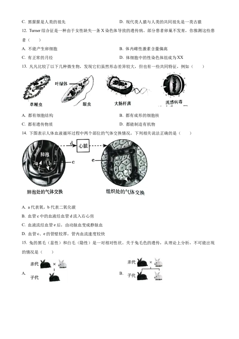 2023年山西省阳泉市中考生物真题（空白卷）_❤山西历年中考真题_8.山西中考生物2018-2025