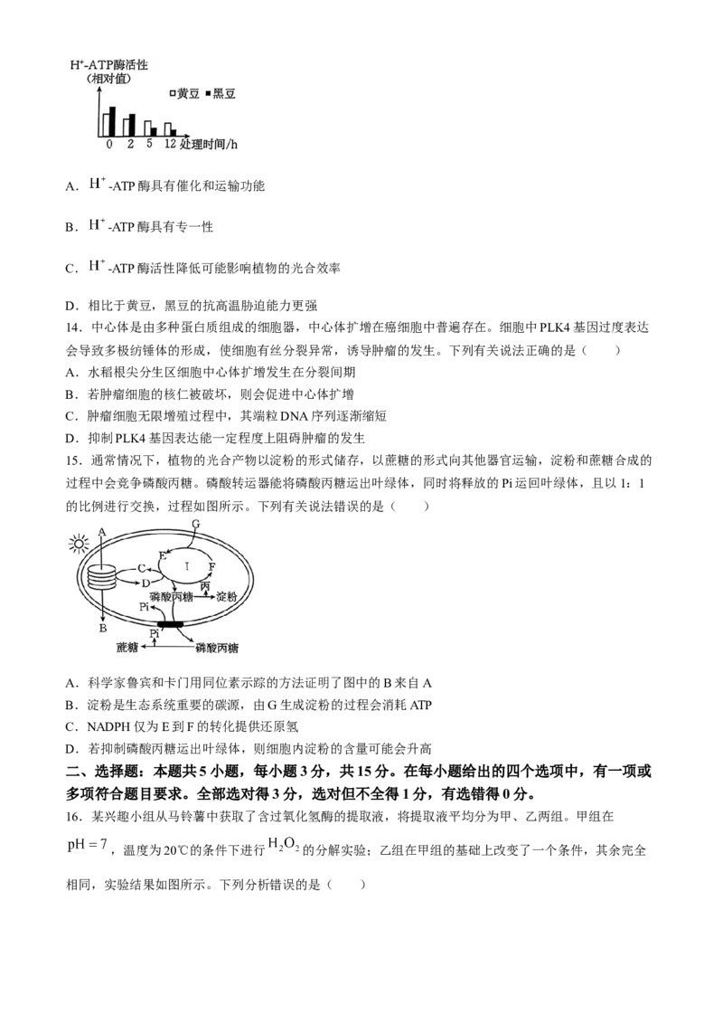 河南省2025届高三上学期联考（二）生物试题Word版含解析_A1502026各地模拟卷（超值！）_10月_241009河南省2025届高三上学期联考（二）