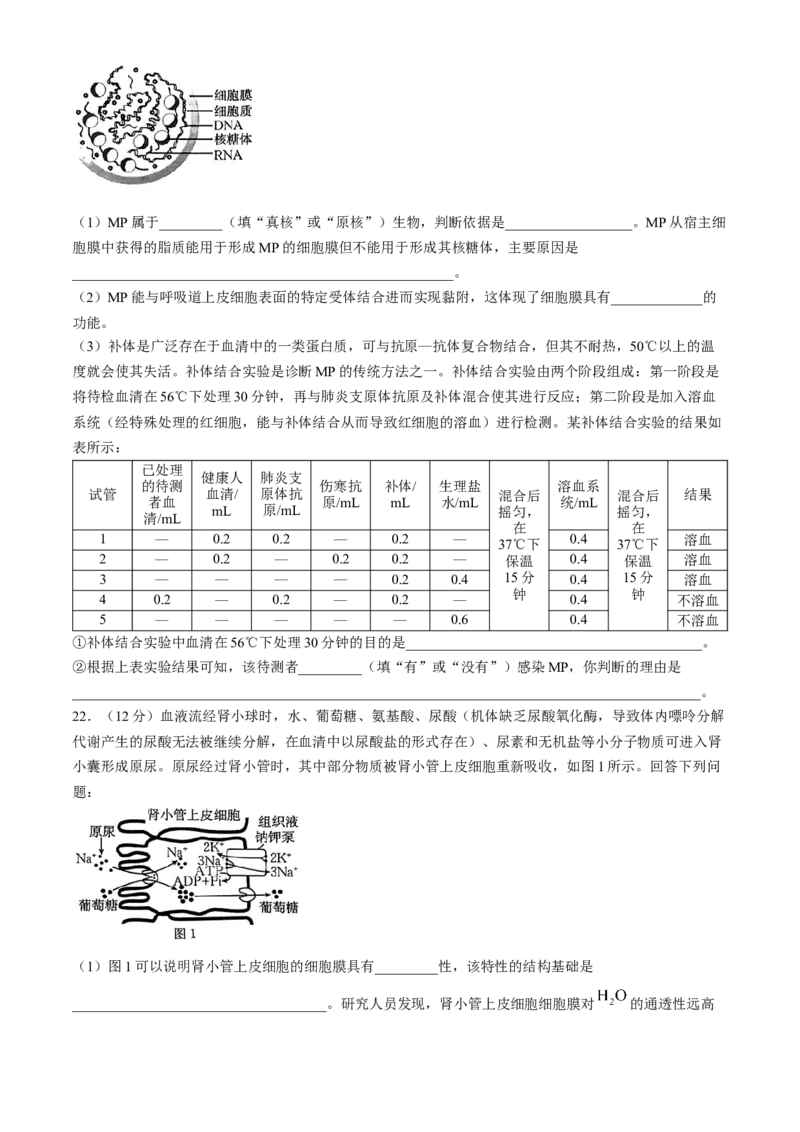 河南省2025届高三上学期联考（二）生物试题Word版含解析_A1502026各地模拟卷（超值！）_10月_241009河南省2025届高三上学期联考（二）