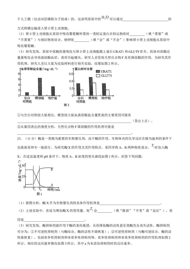 河南省2025届高三上学期联考（二）生物试题Word版含解析_A1502026各地模拟卷（超值！）_10月_241009河南省2025届高三上学期联考（二）