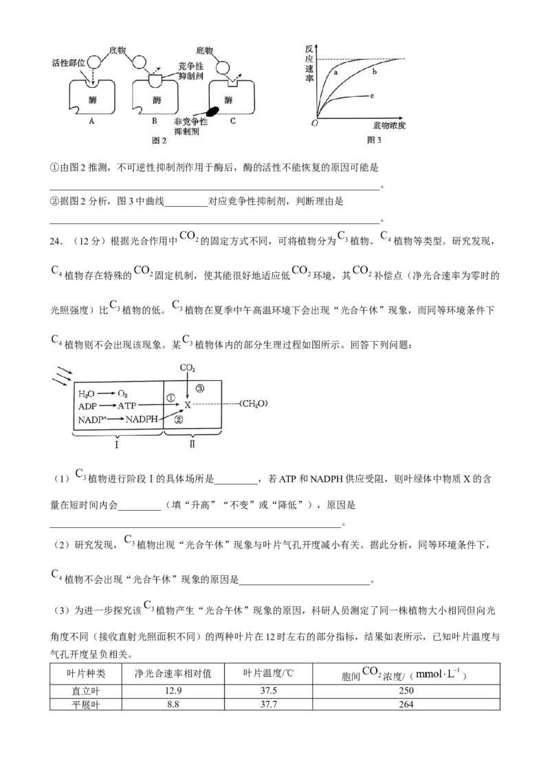 河南省2025届高三上学期联考（二）生物试题Word版含解析_A1502026各地模拟卷（超值！）_10月_241009河南省2025届高三上学期联考（二）