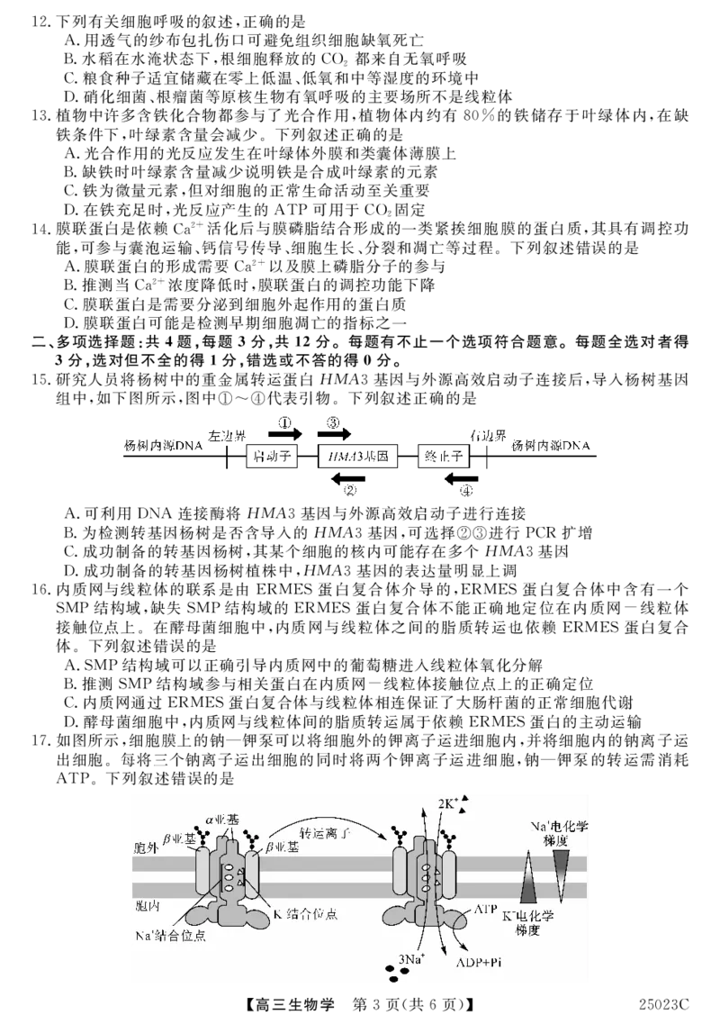 江苏省盐城市盐城八校2024-2025学年高三上学期开学考试（25023C）生物试题_A1502026各地模拟卷（超值！）_9月_240921江苏省盐城市盐城八校2024-2025学年高三上学期开学考试