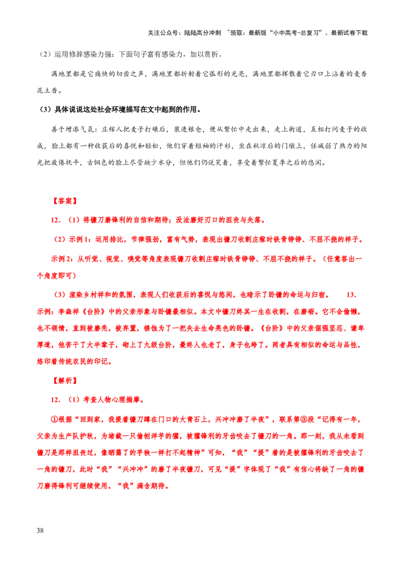 专题55文学类文本之环境描写（知识梳理+练习）(解析版）_02中考总复习（2026版更新中）_01-语文-中考总复习_2025年中考资料_备战2025年中考语文一轮复习考点突破（全国通用）