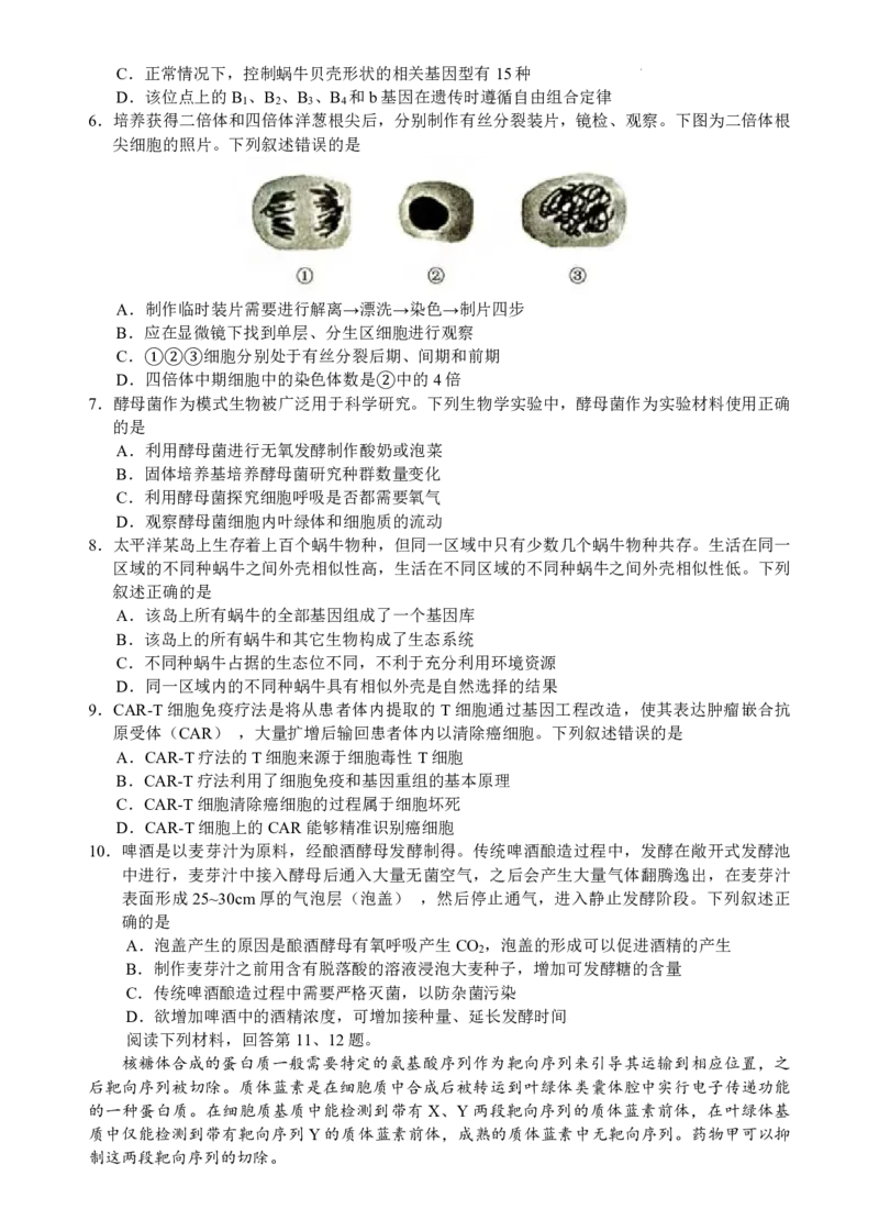 江浙皖高中（县中）发展共同体2024-2025学年高三上学期10月联考生物试题_A1502026各地模拟卷（超值！）_10月