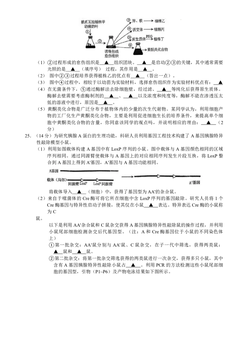 江浙皖高中（县中）发展共同体2024-2025学年高三上学期10月联考生物试题_A1502026各地模拟卷（超值！）_10月