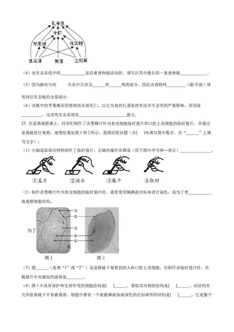 精品解析：北京市海淀区北京理工大学附属中学2022-2023学年七年级上学期期中生物试题（原卷版）(1)_北京初中期末题_C605-京七八九_B京生物七八九_北京7上生物_2022-2024_北京生物7上期中