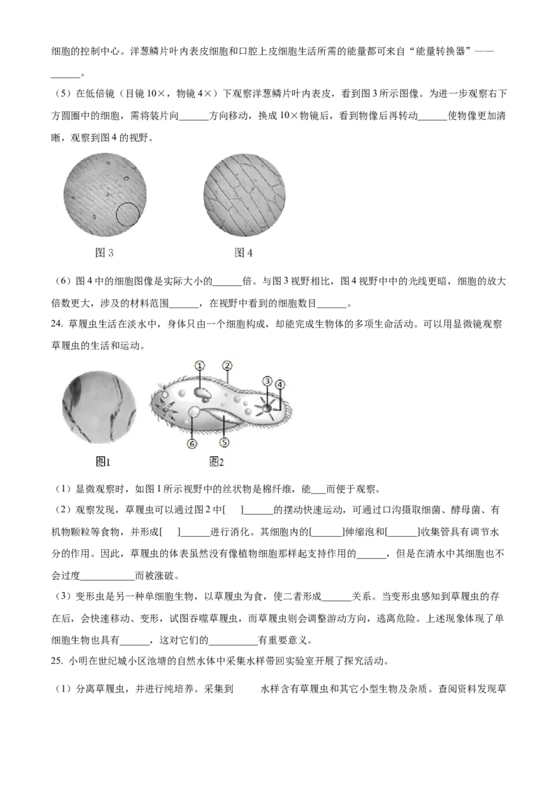 精品解析：北京市海淀区北京理工大学附属中学2022-2023学年七年级上学期期中生物试题（原卷版）(1)_北京初中期末题_C605-京七八九_B京生物七八九_北京7上生物_2022-2024_北京生物7上期中