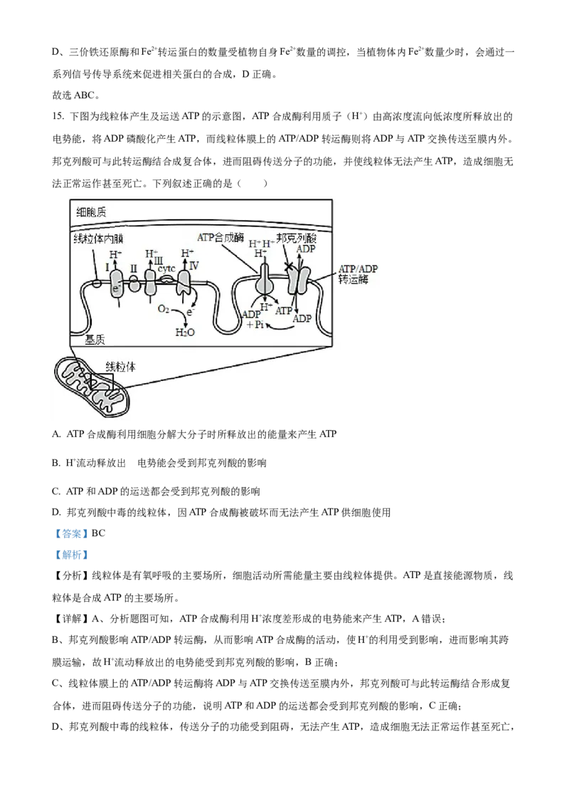 湖南省长沙市雅礼中学2025届高三上学期月考（二）生物试题答案_A1502026各地模拟卷（超值！）_10月_241014湖南省长沙市雅礼中学2025届高三上学期月考（二）