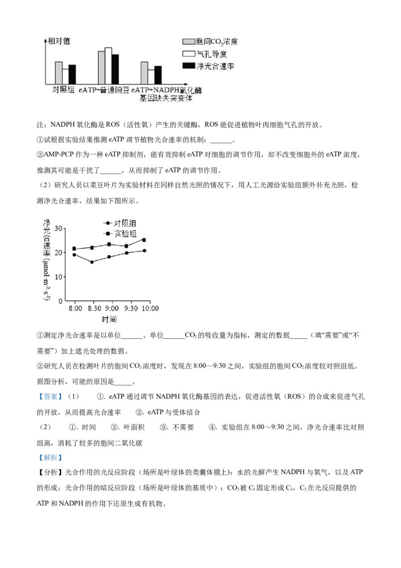湖南省长沙市雅礼中学2025届高三上学期月考（二）生物试题答案_A1502026各地模拟卷（超值！）_10月_241014湖南省长沙市雅礼中学2025届高三上学期月考（二）