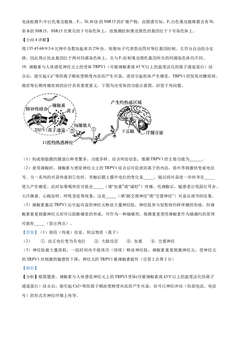 湖南省长沙市雅礼中学2025届高三上学期月考（二）生物试题答案_A1502026各地模拟卷（超值！）_10月_241014湖南省长沙市雅礼中学2025届高三上学期月考（二）