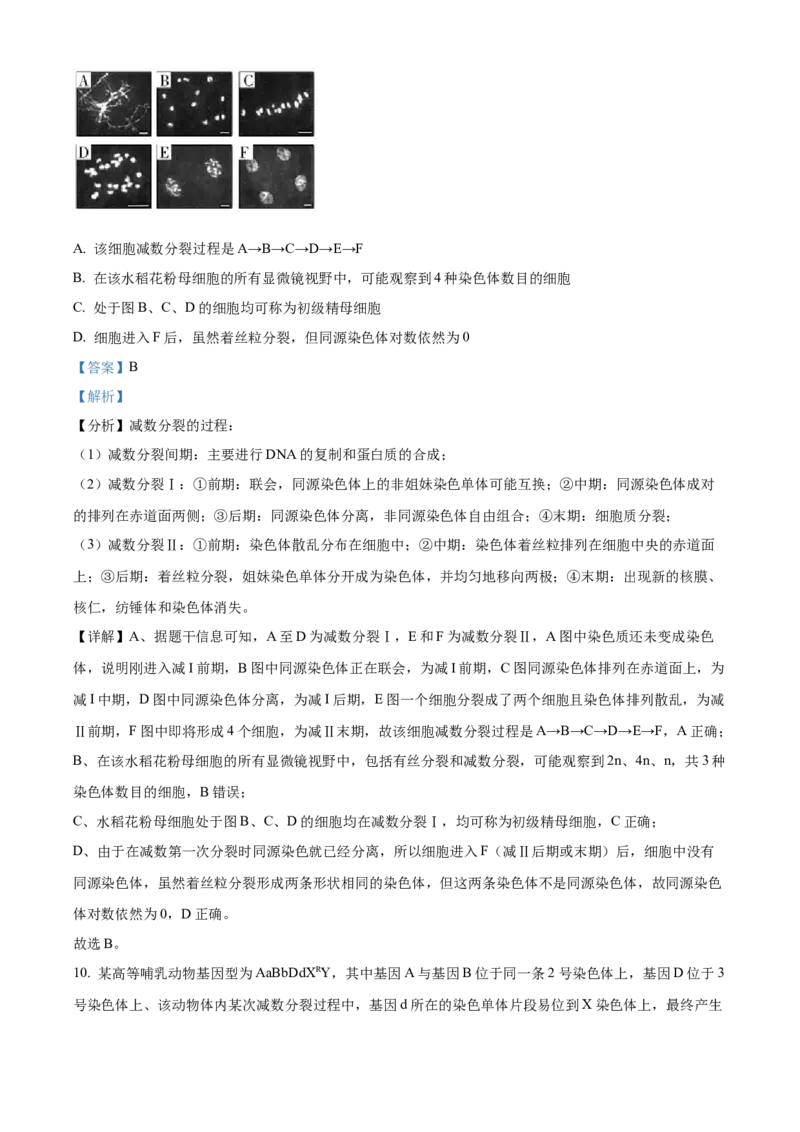 湖南省长沙市雅礼中学2025届高三上学期月考（二）生物试题答案_A1502026各地模拟卷（超值！）_10月_241014湖南省长沙市雅礼中学2025届高三上学期月考（二）