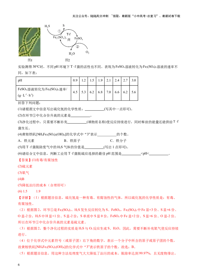 专题六科普阅读题（测试）（解析版）_02中考总复习（2026版更新中）_05-化学-中考总复习_2025年中考复习资料_2025中考二轮课件ppt+讲义+练习化学_测试