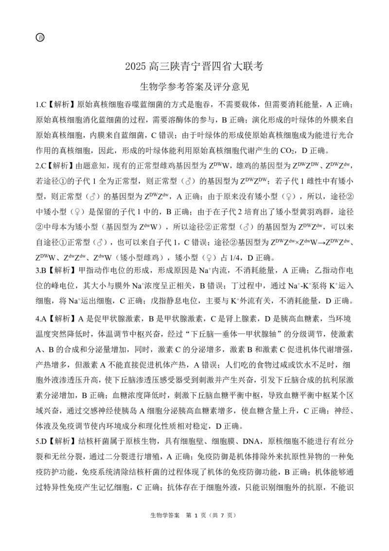 百师联盟2025届高三一轮复习联考（四）生物答案（陕青宁晋）_A1502026各地模拟卷（超值！）_12月_241229百师联盟2025届高三一轮复习联考（四）（全科）