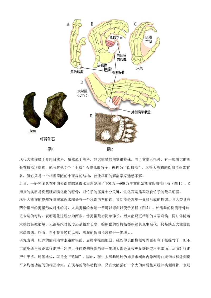 精品解析：北京市顺义区2023-2024学年八年级上学期期末生物试题（解析版）(1)_北京初中期末题_C605-京七八九_B京生物七八九_北京八上生物_2023-2024