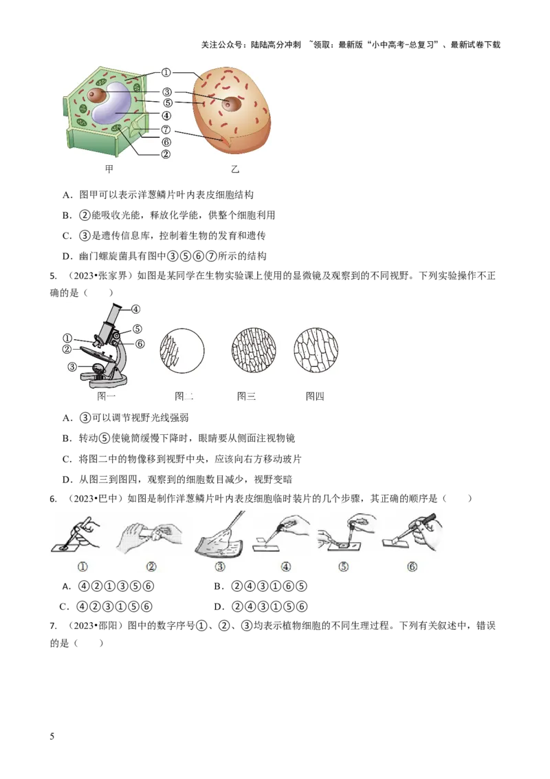专题一生物体的结构层次（原卷版）_02中考总复习（2026版更新中）_08-生物-中考总复习_2024年中考复习资料_三轮复习_查漏补缺2024年中考生物复习冲刺过关（全国通用）