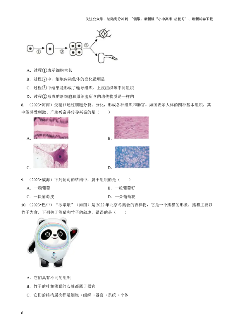 专题一生物体的结构层次（原卷版）_02中考总复习（2026版更新中）_08-生物-中考总复习_2024年中考复习资料_三轮复习_查漏补缺2024年中考生物复习冲刺过关（全国通用）