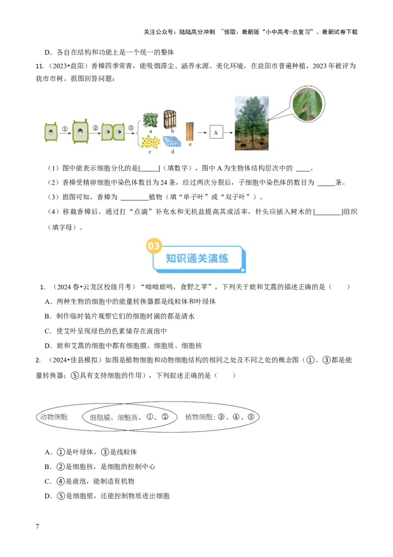 专题一生物体的结构层次（原卷版）_02中考总复习（2026版更新中）_08-生物-中考总复习_2024年中考复习资料_三轮复习_查漏补缺2024年中考生物复习冲刺过关（全国通用）