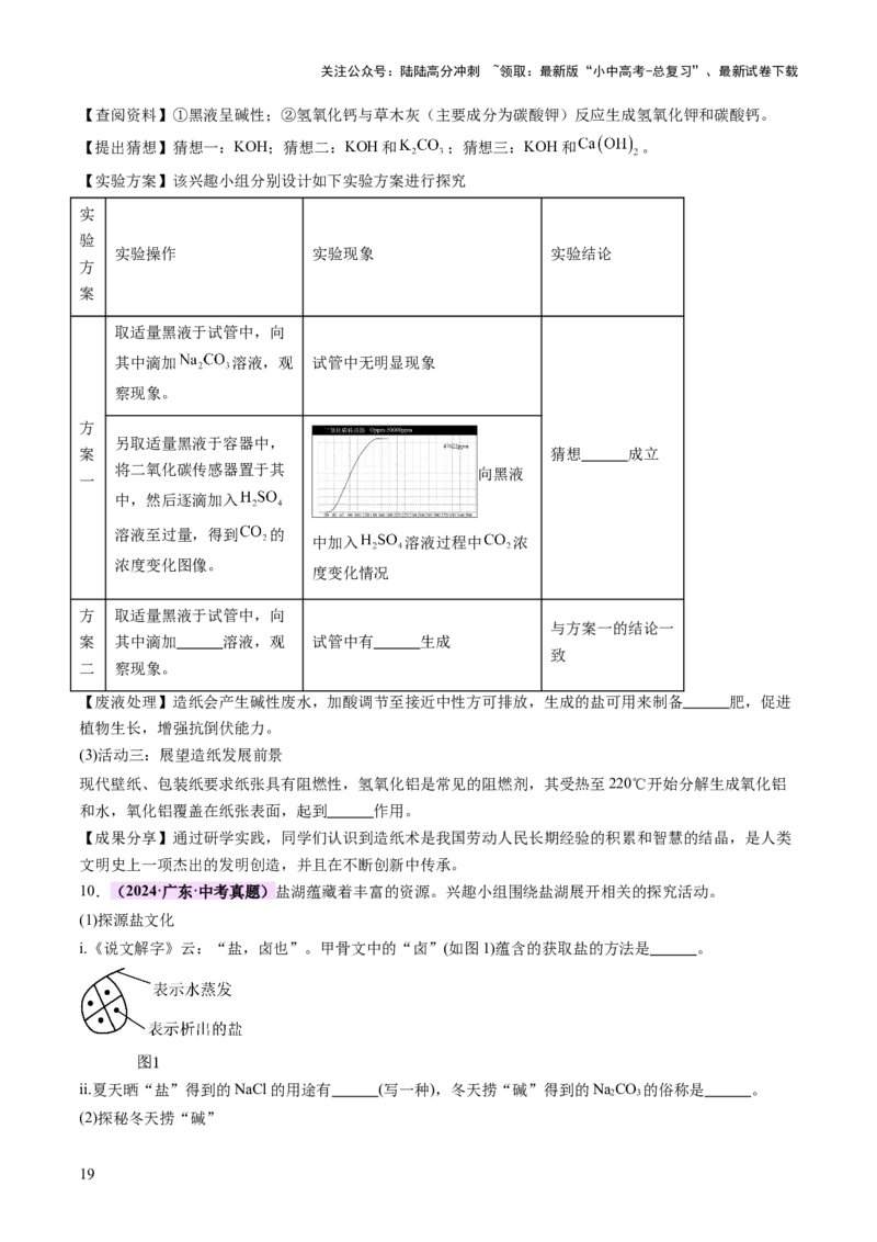 专题四实验探究题（讲练）（原卷版）_02中考总复习（2026版更新中）_05-化学-中考总复习_2025年中考复习资料_2025中考二轮课件ppt+讲义+练习化学_讲义+练习