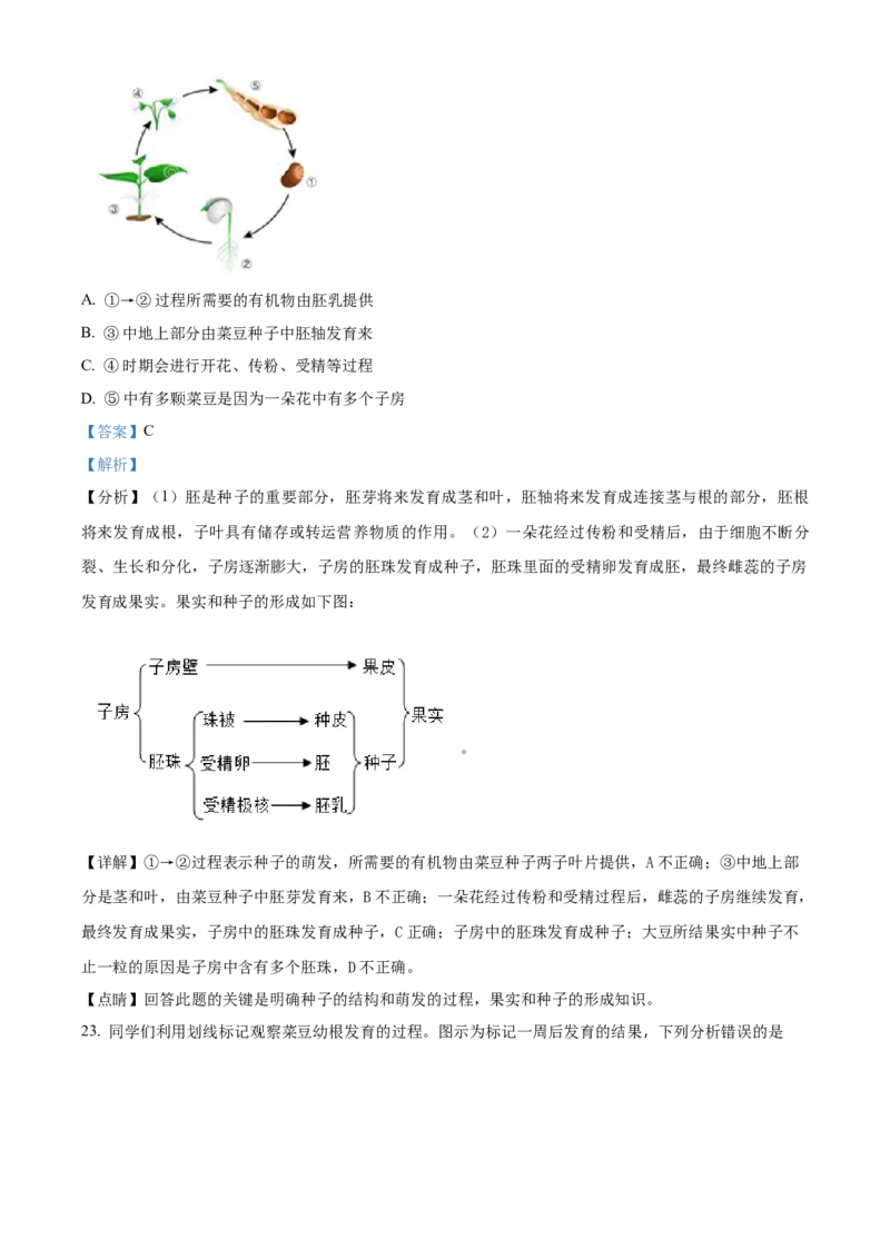 精品解析：北京市清华大学附属中学朝阳学校2020-2021学年八年级下学期期中生物试题（解析版）(1)_北京初中期末题_C605-京七八九_B京生物七八九_北京八下生物