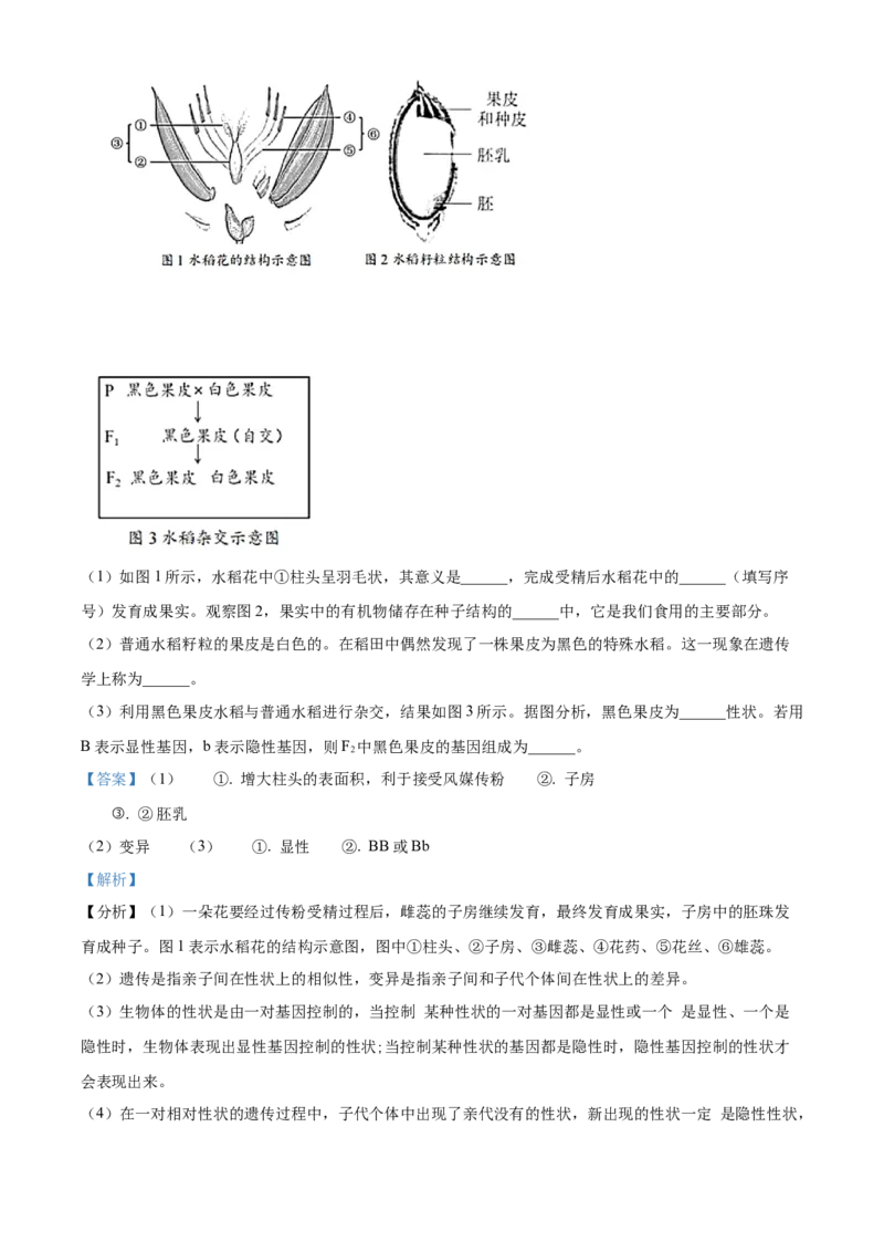 精品解析：北京市第四中学2021-2022学年八年级下学期期中生物试题（解析版）(1)_北京初中期末题_C605-京七八九_B京生物七八九_北京八下生物